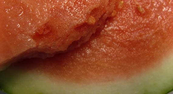 watermelon_slices.jpg