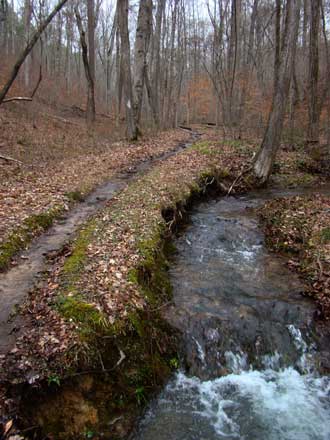 trail_creek.jpg