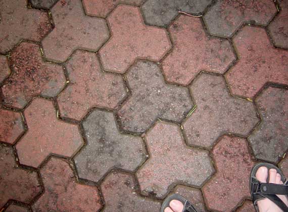 paving_feet.jpg