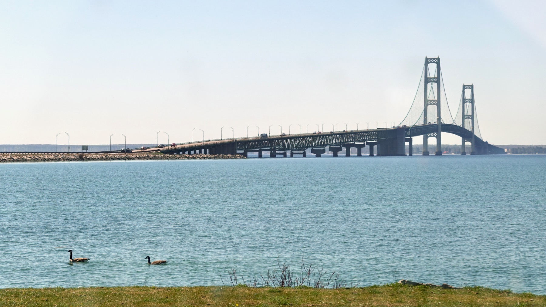 Bridge view view