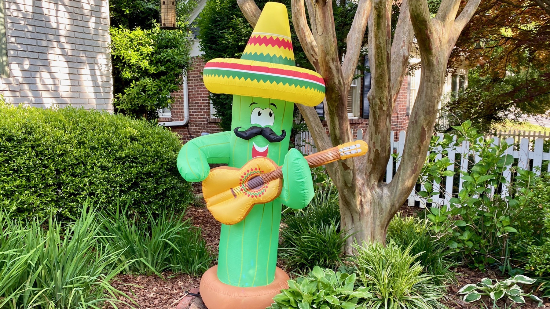 Musical cactus