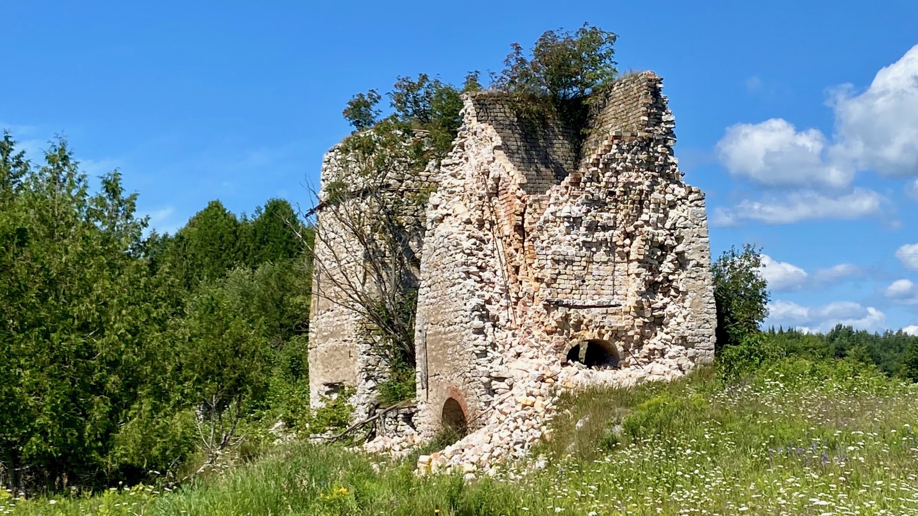 Charcoal kilns ground