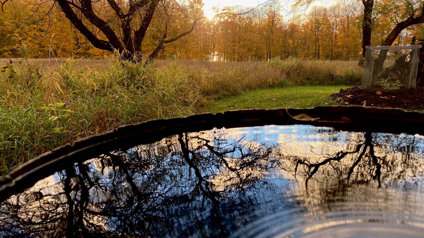 Water barrel view