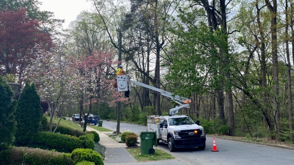 Powerline work