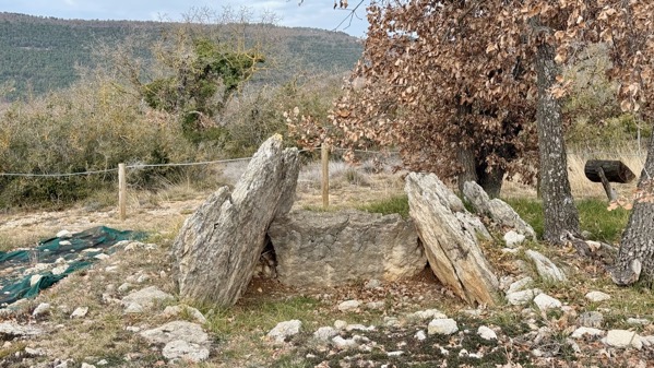 Dolmen by road