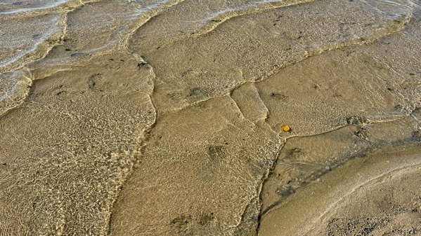 Wave edge