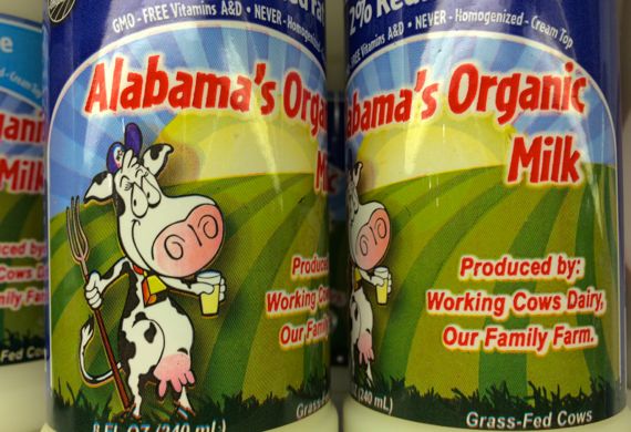 AL organic milk duo