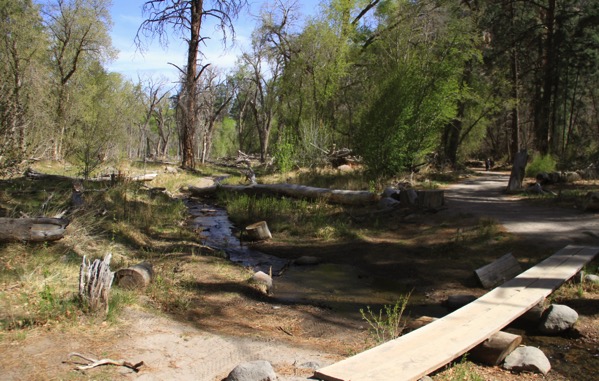 Frijoles Creek