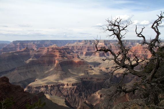 Grand Canyon S rim W