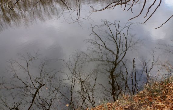 Grand River Jan reflections