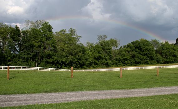 Lee Co rainbow