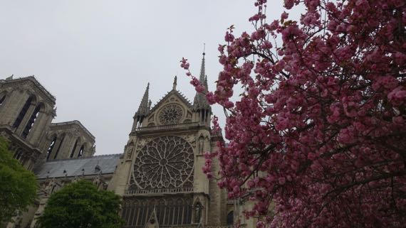 Notre Dame riverside