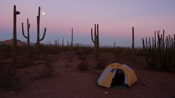 Organ_Pipes_camping_2009.jpg