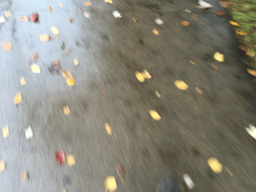 Rain walking