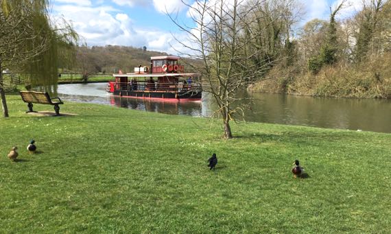 Thames riverboat tour