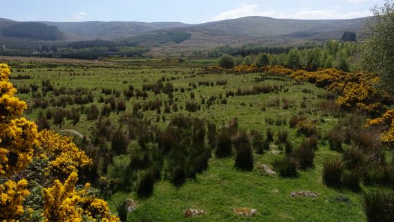 Wicklow gap area