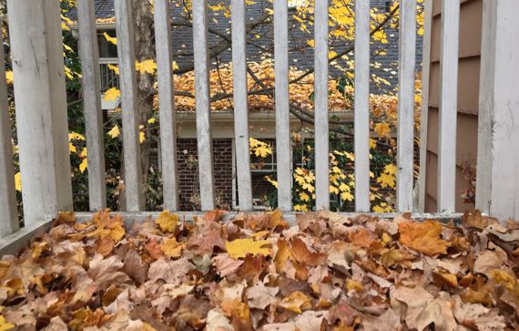 Balcony leaves