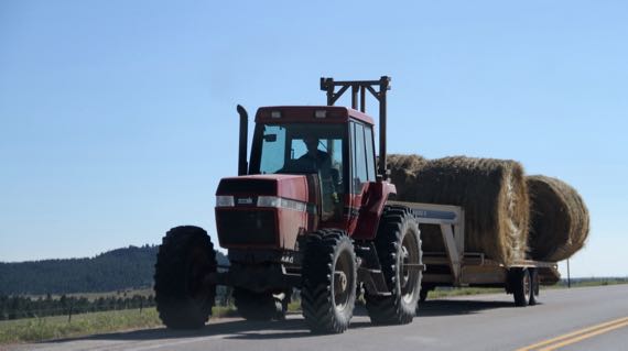 Bales in motion