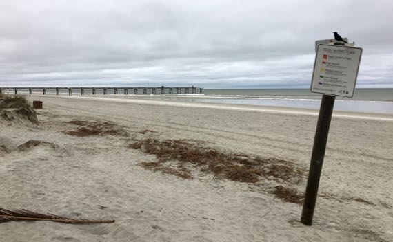 Beach pier grackle