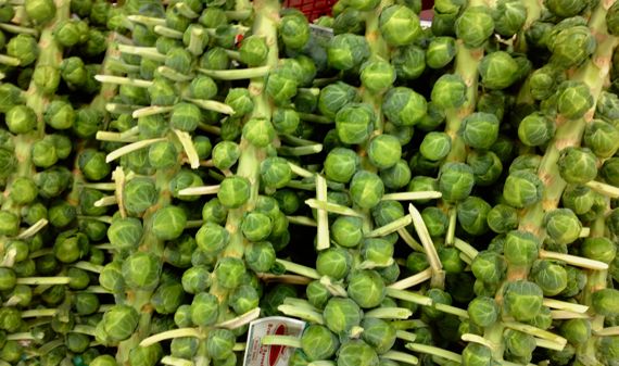 Beaucoups of brussels sprouts