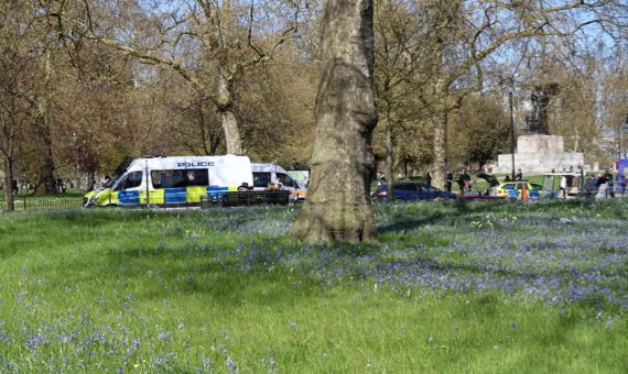 Bluebell meadow HydePark