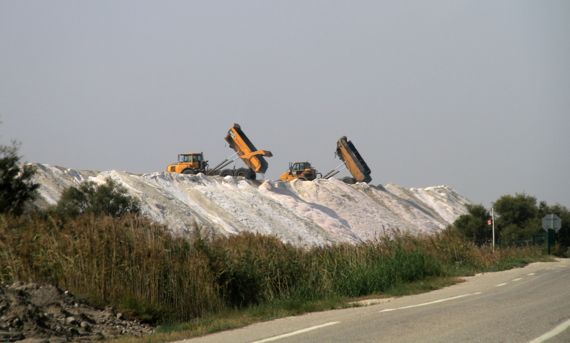 Camargue salt dumping duo