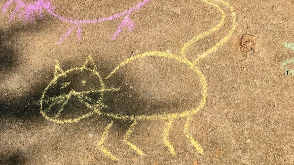 Chalk cat