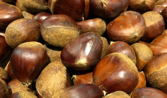Chestnuts from China
