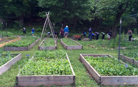 Community garden prepping