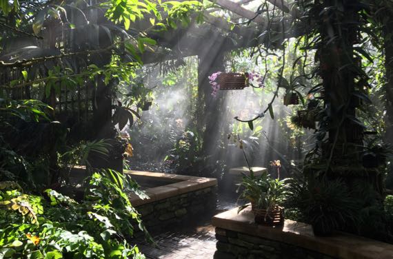 Conservatory mist