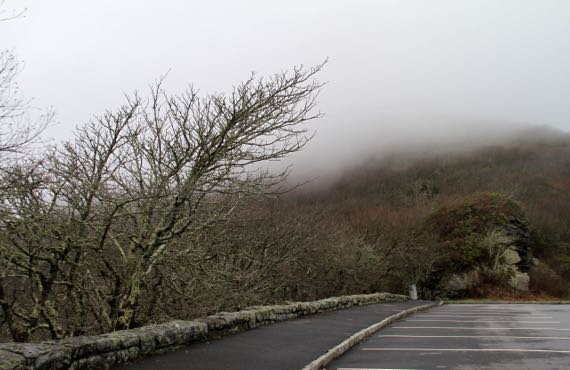 Craggy gardens cloud drift