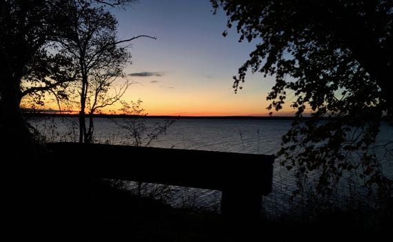 Dawn bench lake