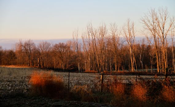 Dawn light oblique field