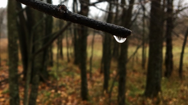 Droplet lens