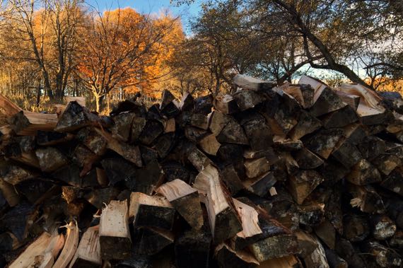 Firewood stacked