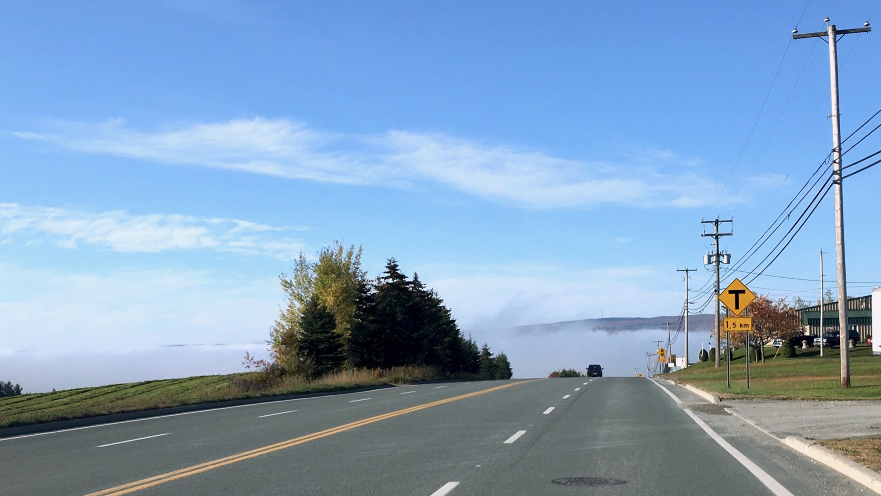 Fog in little valley