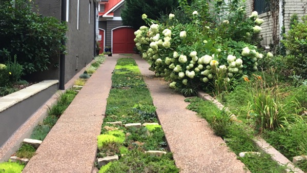 Herb driveway