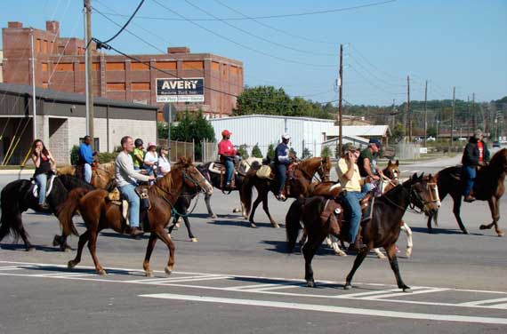 horse_mule_parade.jpg