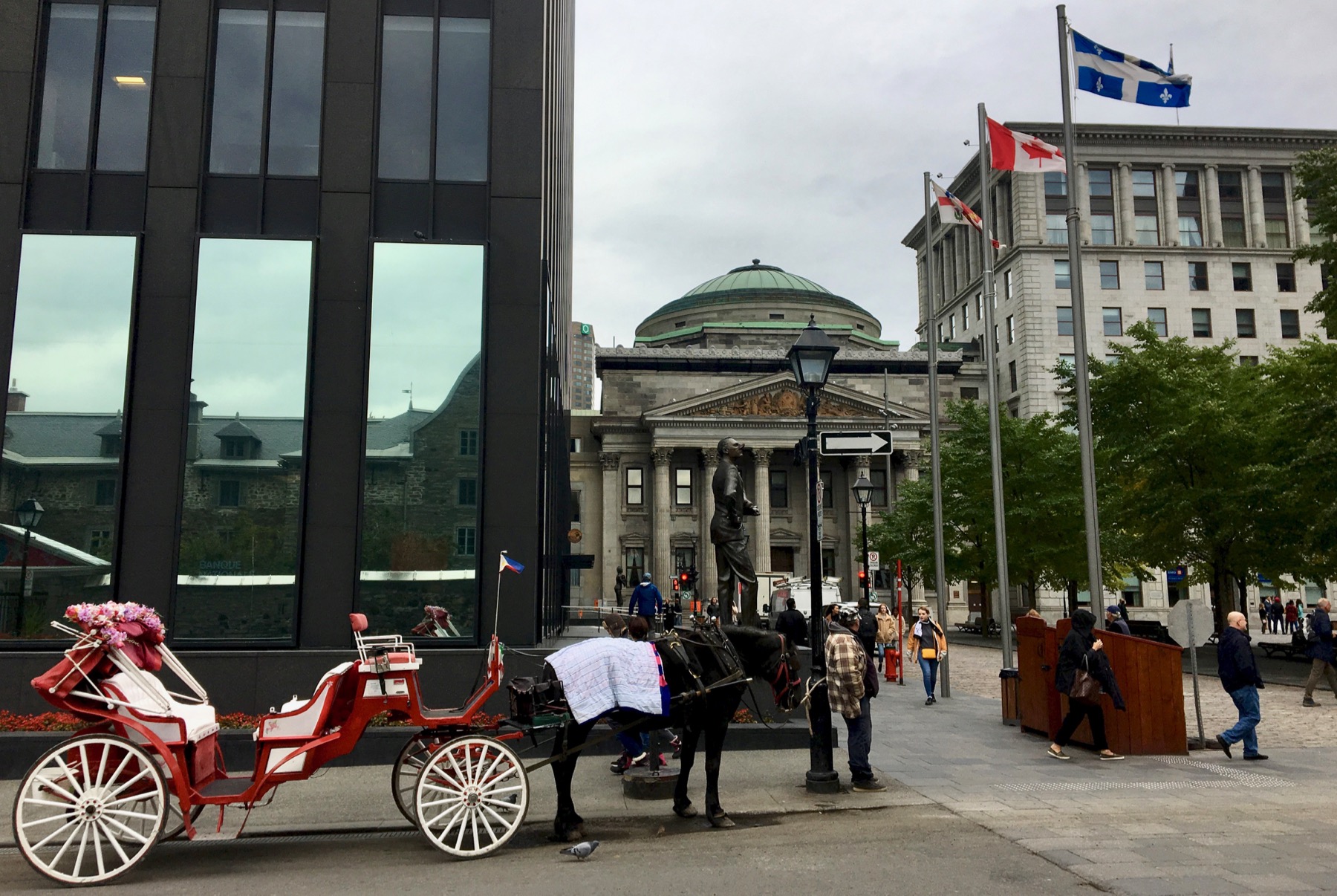 Horse buggy