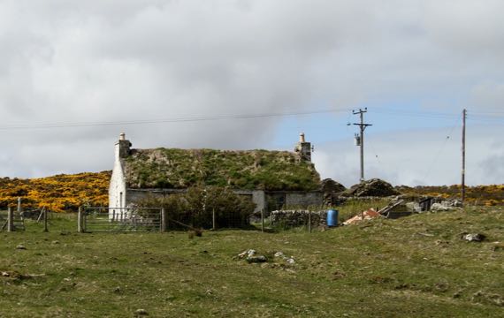 House sod roof