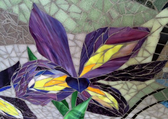 Iris mosaic