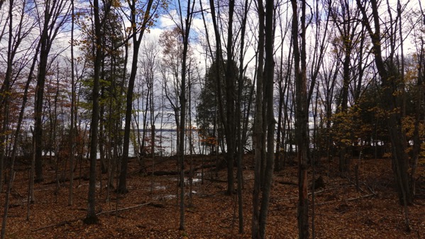 Lake view woods