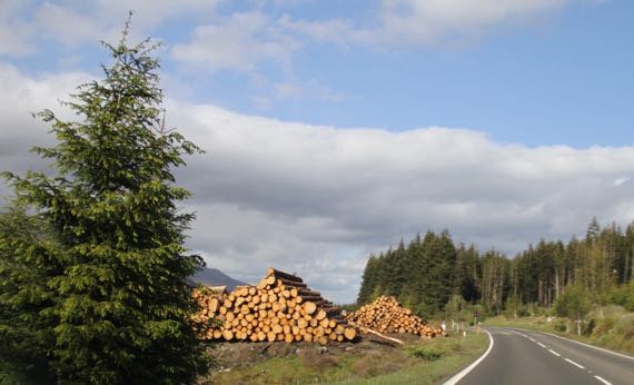 Logging Scotland