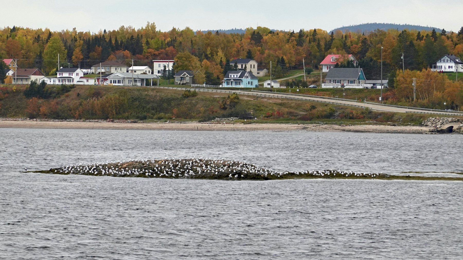 Low tide island