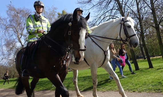 Mounted police in park