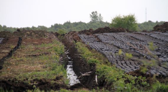 Peat drainage turves