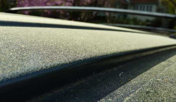 pollen_atop_vehicle_in_sun.jpg