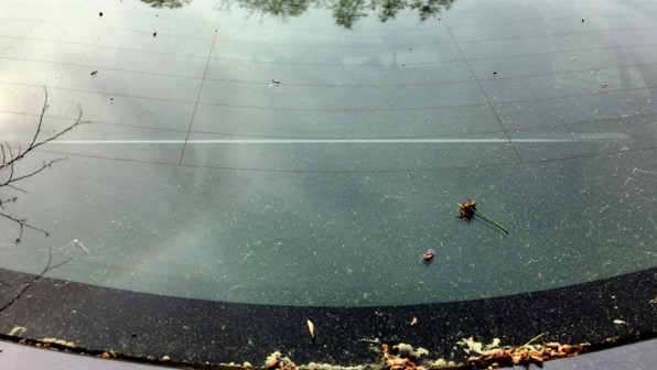 Pollen carglass