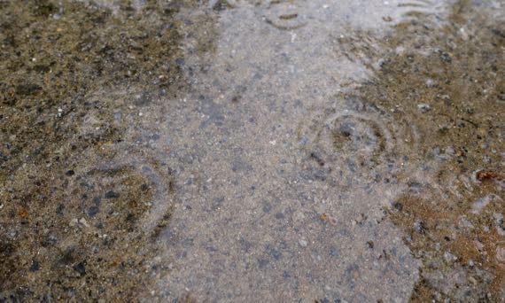 Puddle raindrops