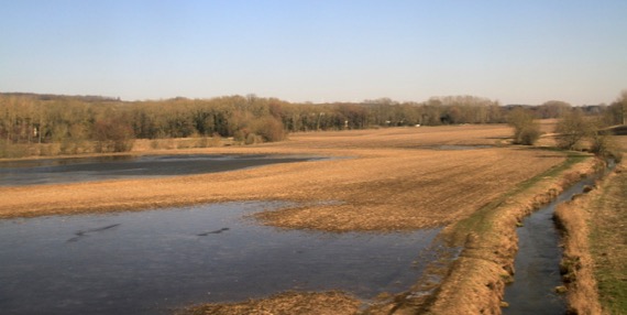 Spring flooded fields